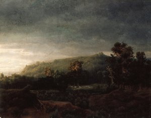 En skov